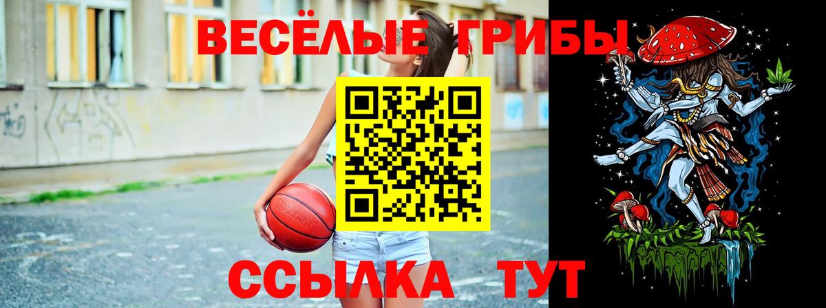Галлюциногенные грибы прущие грибы  Вход с VPN  Саратов 